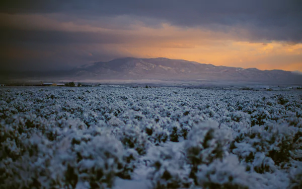 snow new mexico nature landscape HD Desktop Wallpaper | Background Image