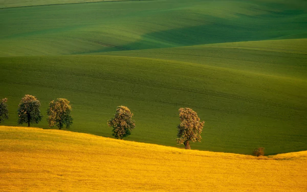 Czech Republic nature field HD Desktop Wallpaper | Background Image