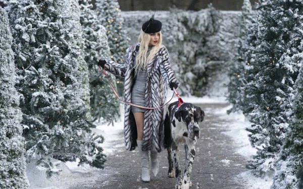 Vanessa Hudgens movie The Princess Switch: Romancing the Star HD Desktop Wallpaper | Background Image