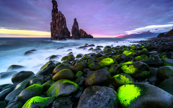 A stunning 4K Ultra HD seascape wallpaper featuring moss-covered stones along a rocky shore with towering sea stacks under a vibrant, cloudy sky at sunset.
