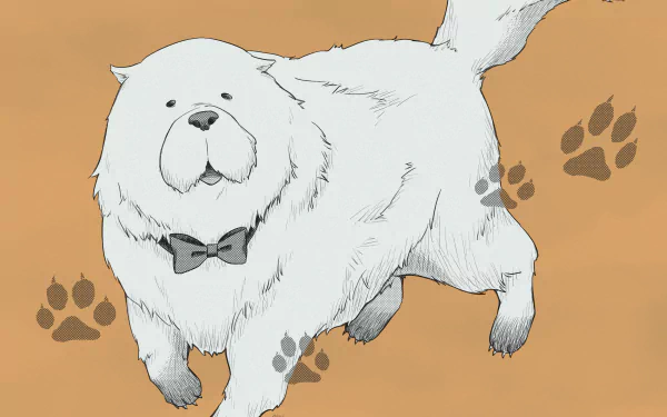 Bond (Spy x Family) Anime Spy x Family HD Desktop Wallpaper | Background Image