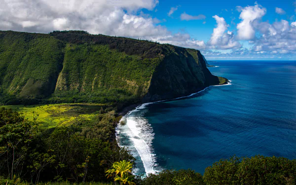 USA Hawaii nature coastline HD Desktop Wallpaper | Background Image