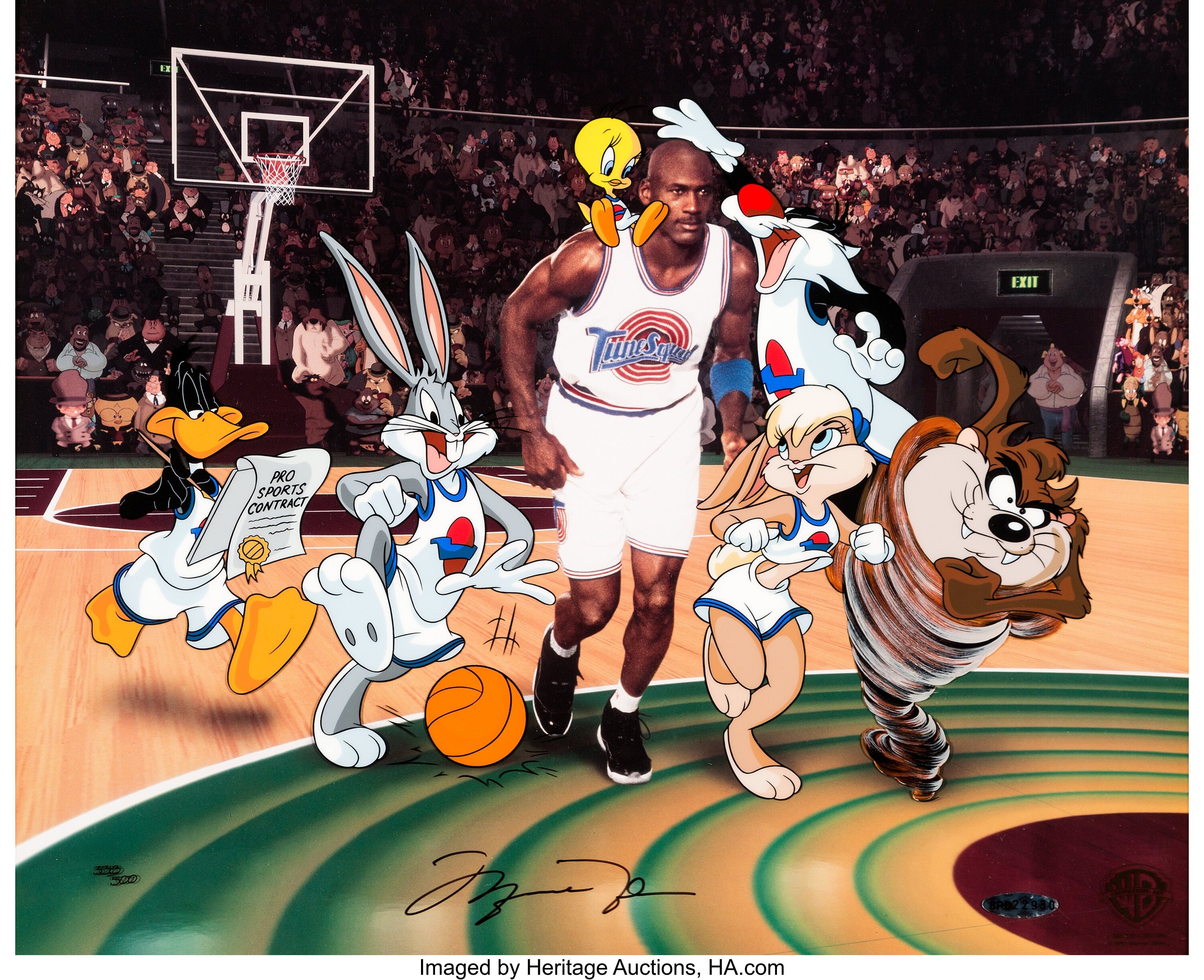 Movie Space Jam HD Wallpaper Background Image.