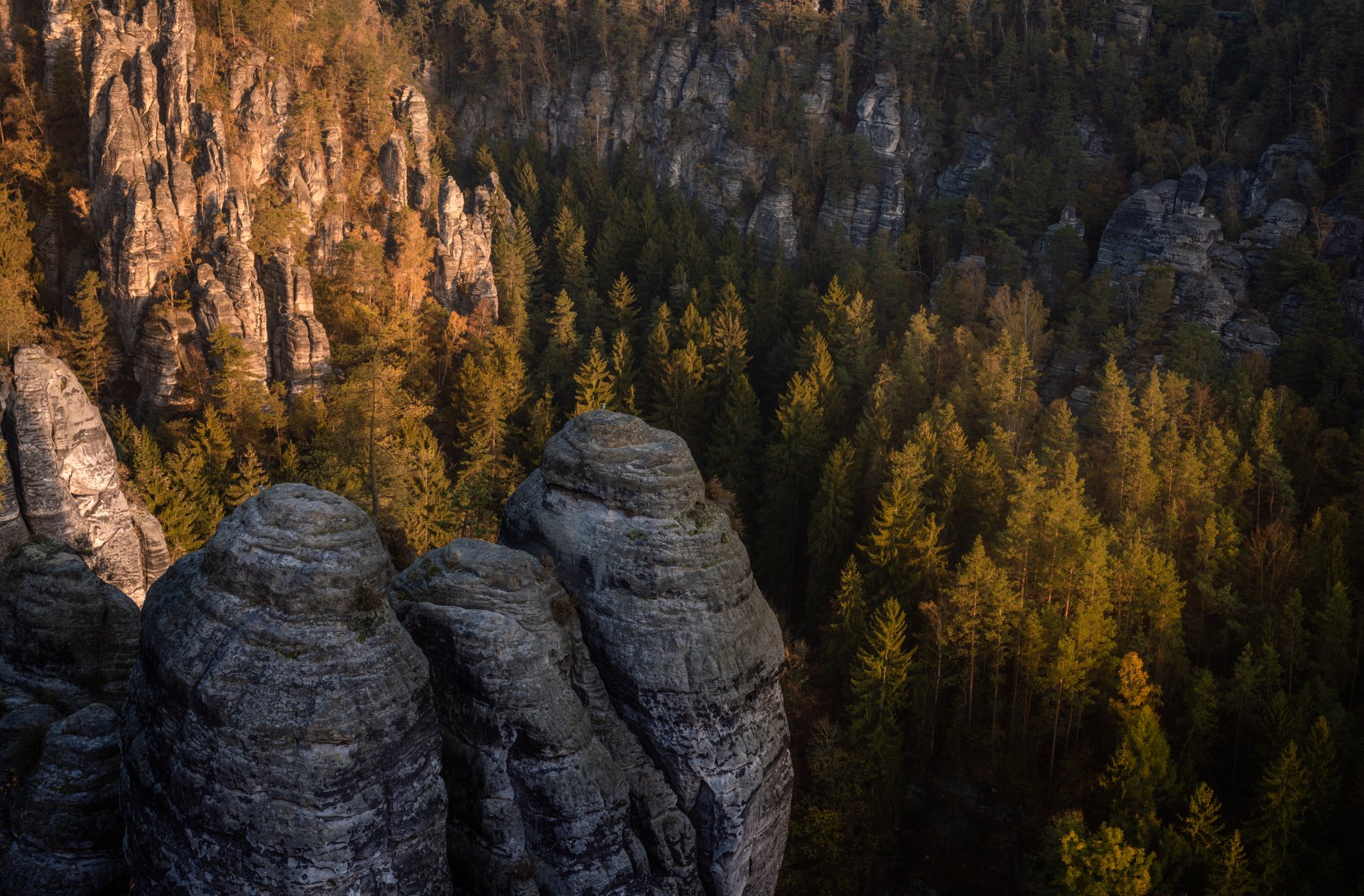 Download Nature Forest 4k Ultra HD Wallpaper by Rafael Wagner