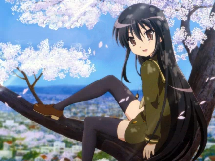 A serene HD wallpaper featuring a character from Shakugan No Shana, sitting on a tree branch amidst cherry blossoms and a scenic background.