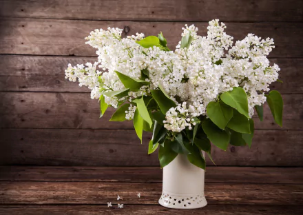 white flower man made flower HD Desktop Wallpaper | Background Image