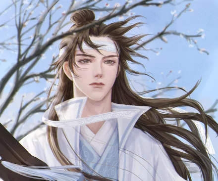 Lan Wangji Anime Mo Dao Zu Shi HD Desktop Wallpaper | Background Image