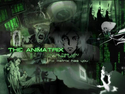 HD anime desktop wallpaper featuring iconic scenes and characters from The Animatrix with green digital rain and glitch effects.