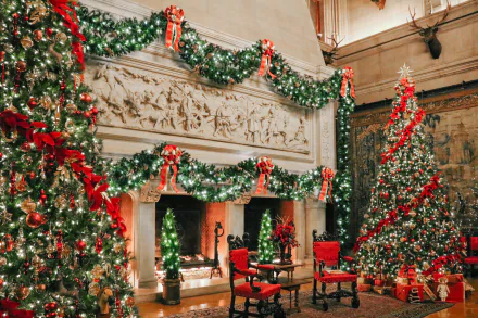  Christmas At The Biltmore Estate