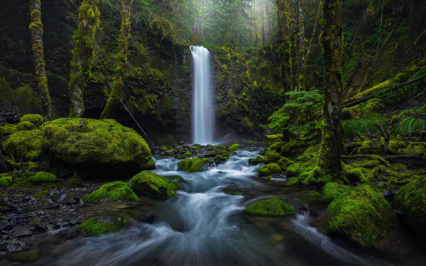 greenery nature waterfall HD Desktop Wallpaper | Background Image