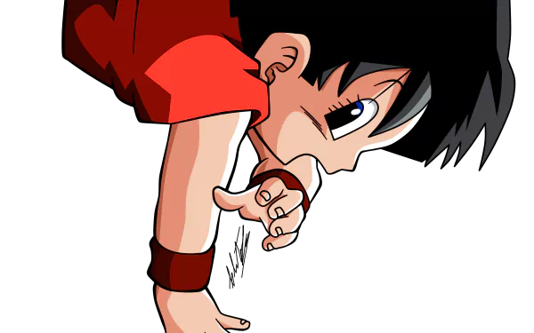 Pan (Dragon Ball) Anime Dragon Ball Z HD Desktop Wallpaper | Background Image
