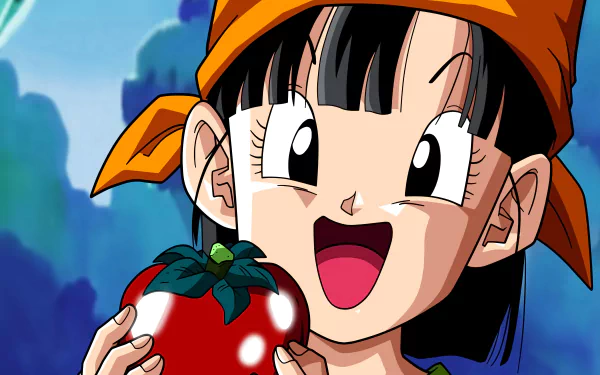 Pan (Dragon Ball) Anime Dragon Ball GT HD Desktop Wallpaper | Background Image