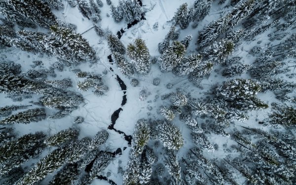Nature Winter Aerial HD Wallpaper | Background Image
