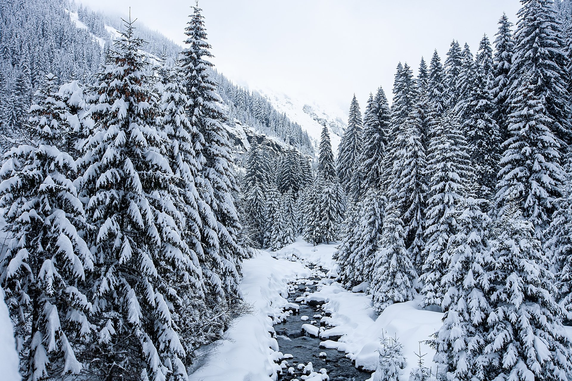 Hight Mountain Snow Wallpaperstream