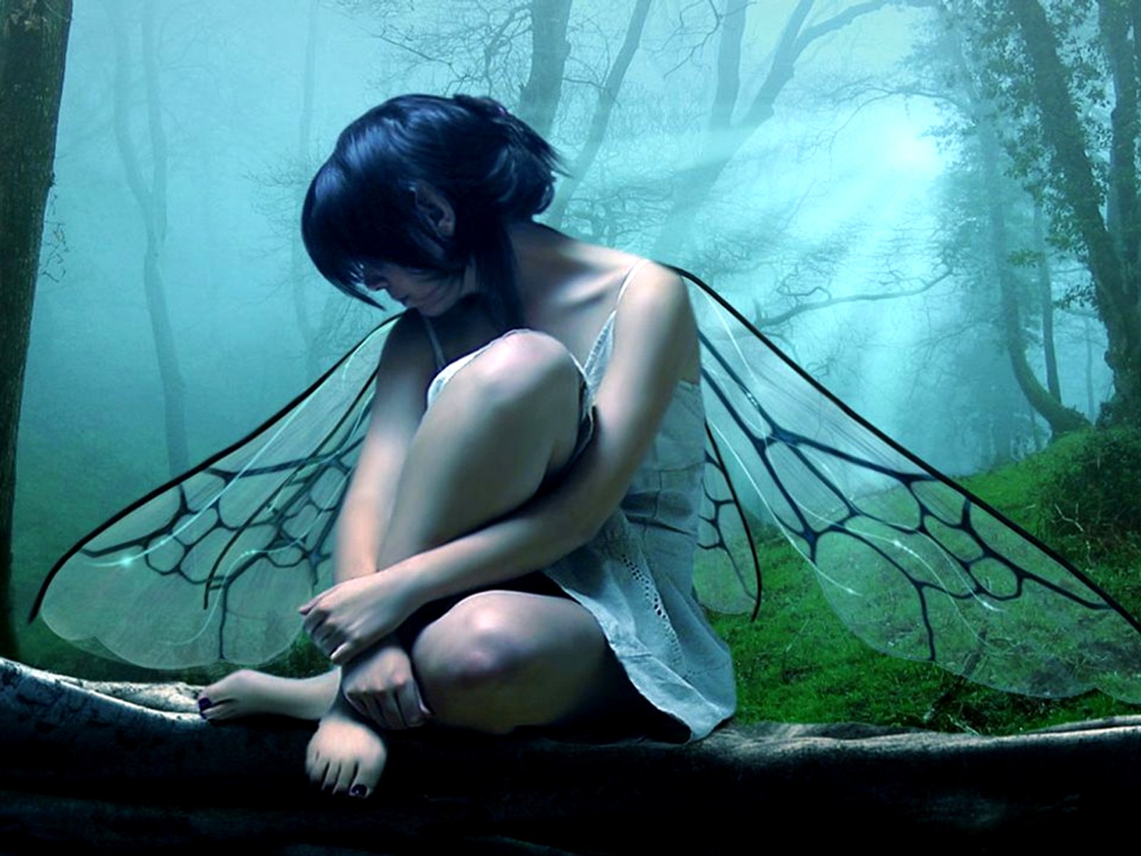 3D fairy girl wallpapers  Most beautiful places in the world  Download  Free Wallpapers