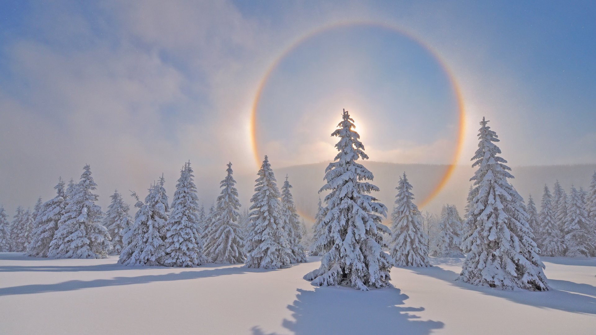 4K Ultra HD PC desktop wallpaper and background: winter nature scene of snow-covered pines beneath a glowing solar halo.