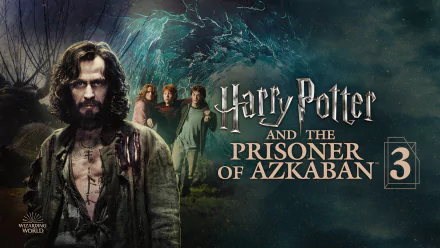 Gary Oldman Sirius Black movie Harry Potter and the Prisoner of Azkaban HD Desktop Wallpaper | Background Image