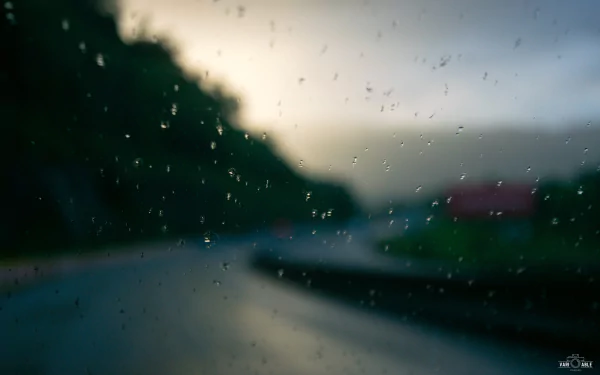  Raindrops on the road