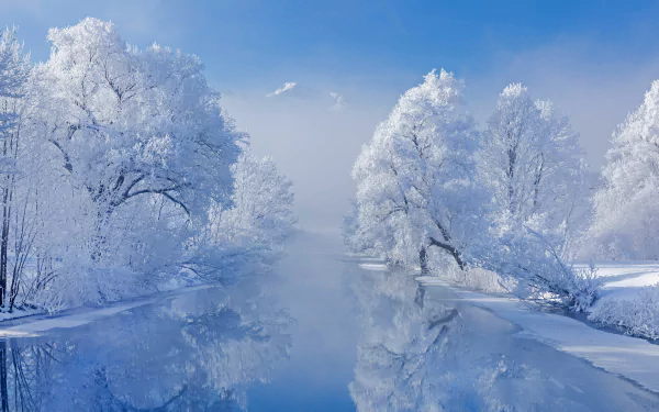 HD desktop wallpaper of Lake Kochel in Bavaria, showcasing a stunning winter scene with snow-covered trees reflected in the calm water under a clear blue sky. Nature's winter tranquility beautifully captured.