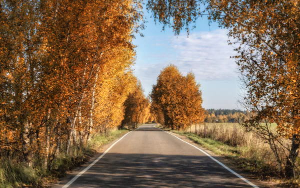 outdoor man made road HD Desktop Wallpaper | Background Image