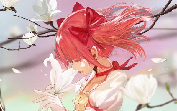 Madoka Kaname Anime Puella Magi Madoka Magica HD Desktop Wallpaper | Background Image