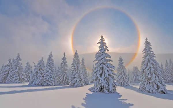 4K Ultra HD PC desktop wallpaper and background: winter nature scene of snow-covered pines beneath a glowing solar halo.