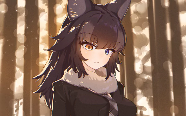heterochromia Grey Wolf (Kemono Friends) Anime Kemono Friends HD Desktop Wallpaper | Background Image