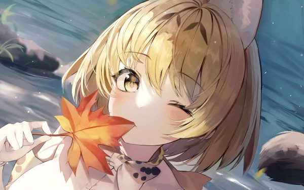 Serval (Kemono Friends) Anime Kemono Friends HD Desktop Wallpaper | Background Image