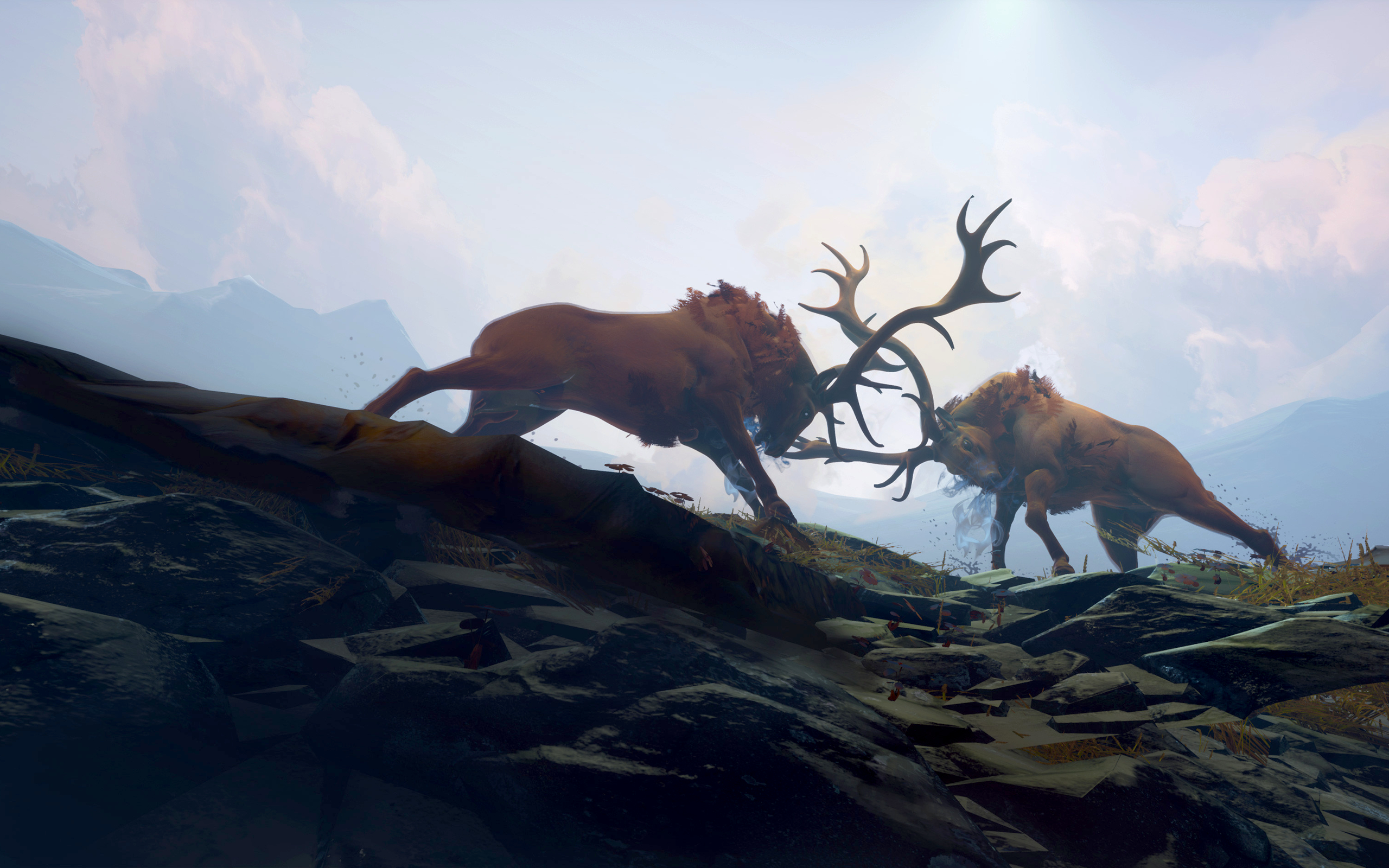 Stag Fight by Tyler Smith