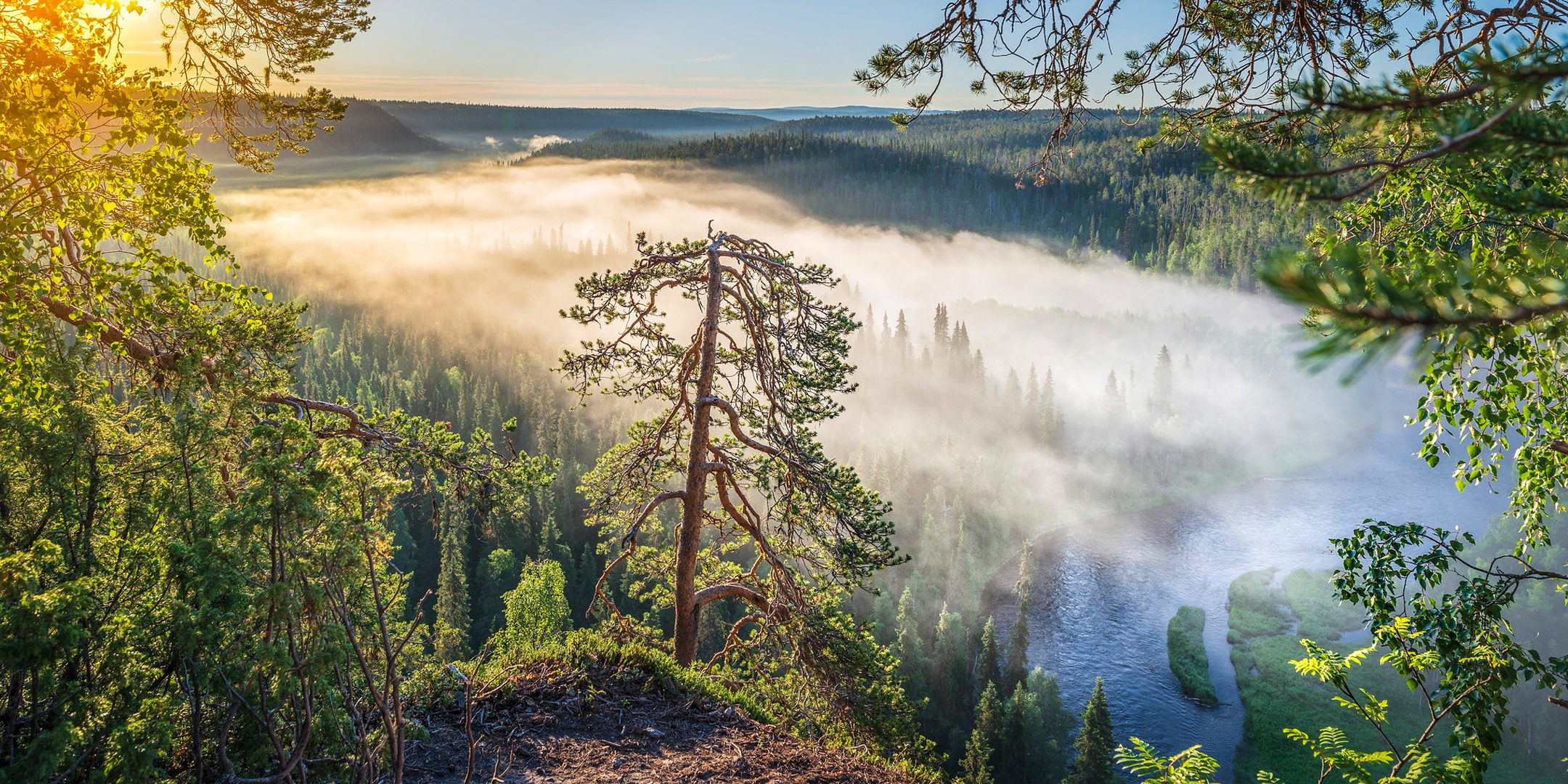 360x640 Autumn In Finland Wallpaper,360x640 Resolution HD 4k Wallpapers, Images,Backgrounds,Photos and Pictures