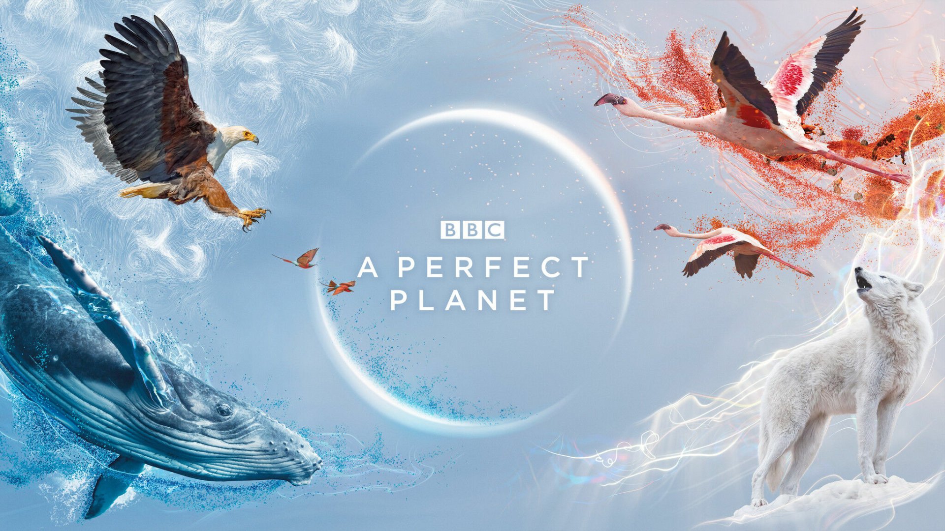 Download TV Show A Perfect Planet HD Wallpaper