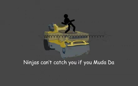 funny ninja HD Desktop Wallpaper | Background Image