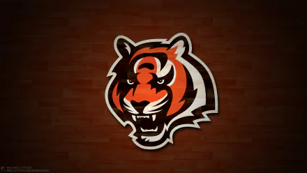 Cincinnati Bengals Sports HD Desktop Wallpaper | Background Image