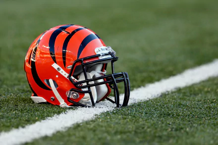 Cincinnati Bengals Sports HD Desktop Wallpaper | Background Image