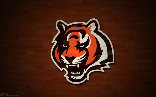 Cincinnati Bengals Sports HD Desktop Wallpaper | Background Image