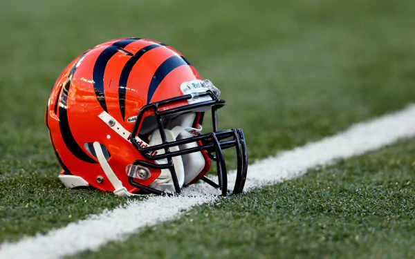 Cincinnati Bengals Sports HD Desktop Wallpaper | Background Image