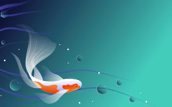 koi carp fish Animal koi HD Desktop Wallpaper | Background Image