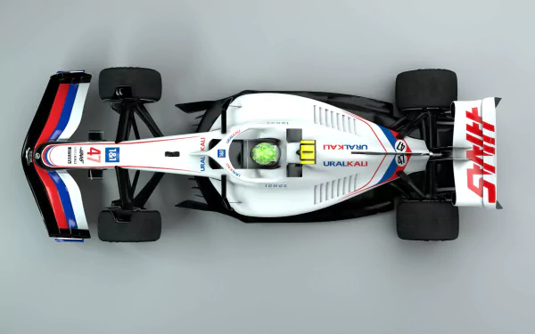  Haas F1 Team 2022 Formula One World Championship