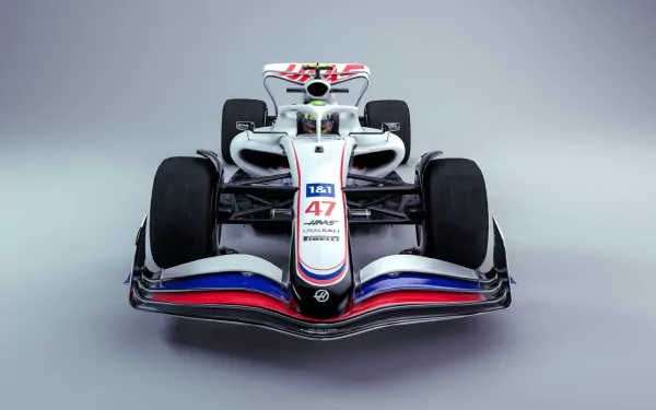  Haas F1 Team 2022 Formula One World Championship
