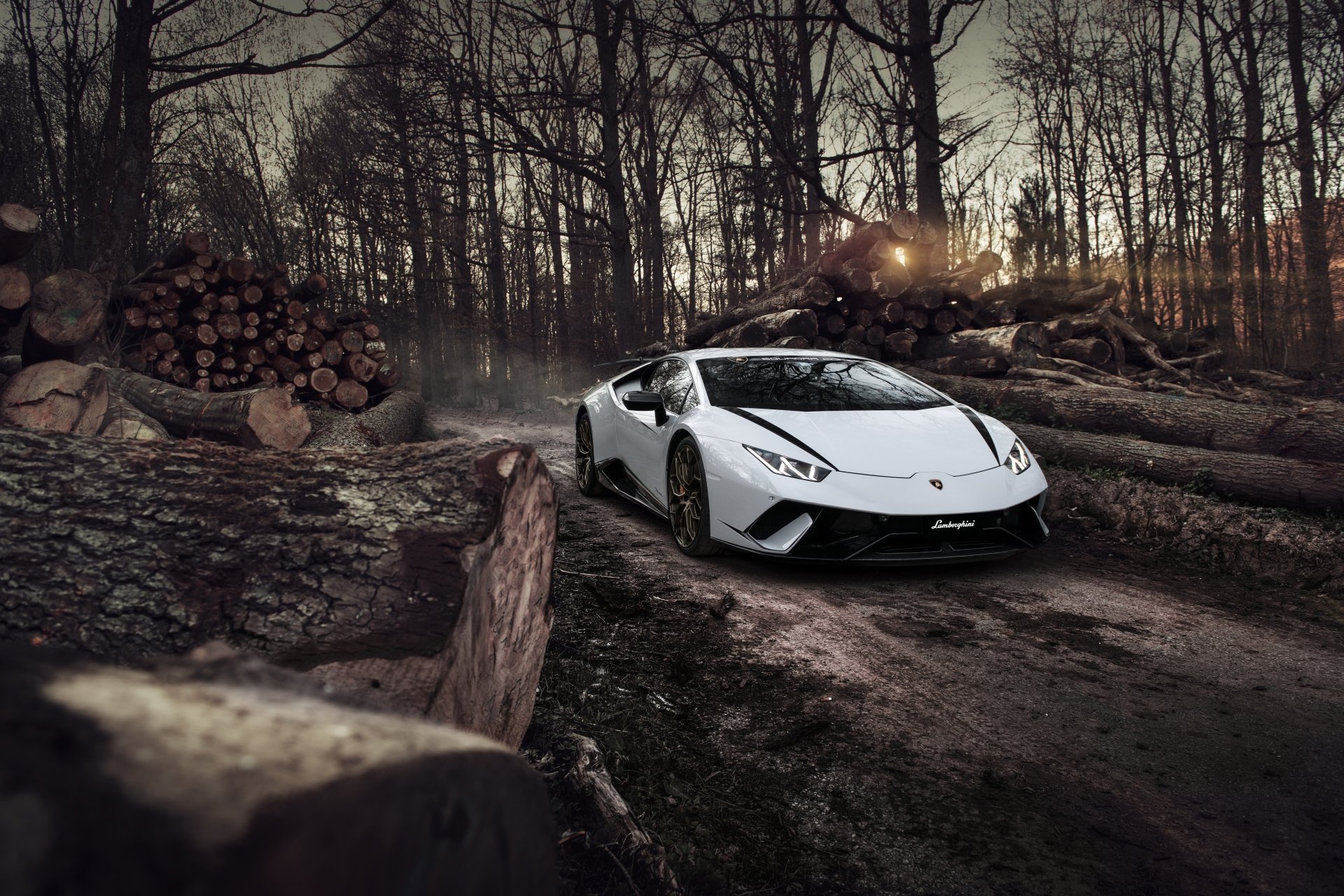 A white Lamborghini Huracan Performante supercar driving through a forest path with stacked logs, depicted in stunning 8K Ultra HD as a PC desktop wallpaper.