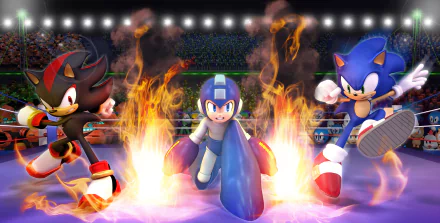 5K Ultra HD PC wallpaper: Shadow the Hedgehog, Mega Man and Sonic the Hedgehog dash through flames in a lit stadium — dynamic video game crossover scene.