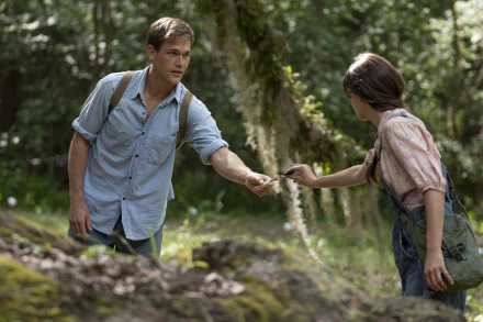 Taylor John Smith movie Where the Crawdads Sing HD Desktop Wallpaper | Background Image