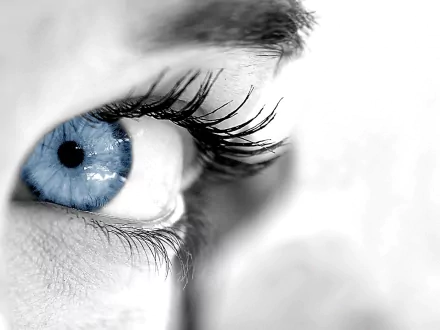 Close-up HD image of a woman's blue eye, capturing detailed eyelashes, set as a desktop wallpaper and background.