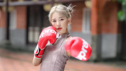 boxing gloves woman asian HD Desktop Wallpaper | Background Image
