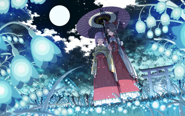Hieda no Akyuu Reimu Hakurei Anime Touhou HD Desktop Wallpaper | Background Image