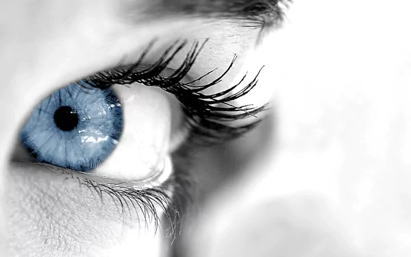 woman eye HD Desktop Wallpaper | Background Image