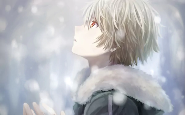 Yukine (Noragami) Anime Noragami HD Desktop Wallpaper | Background Image