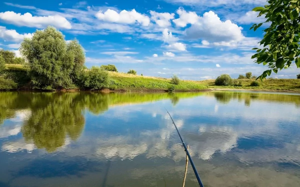 fishing rod nature lake HD Desktop Wallpaper | Background Image