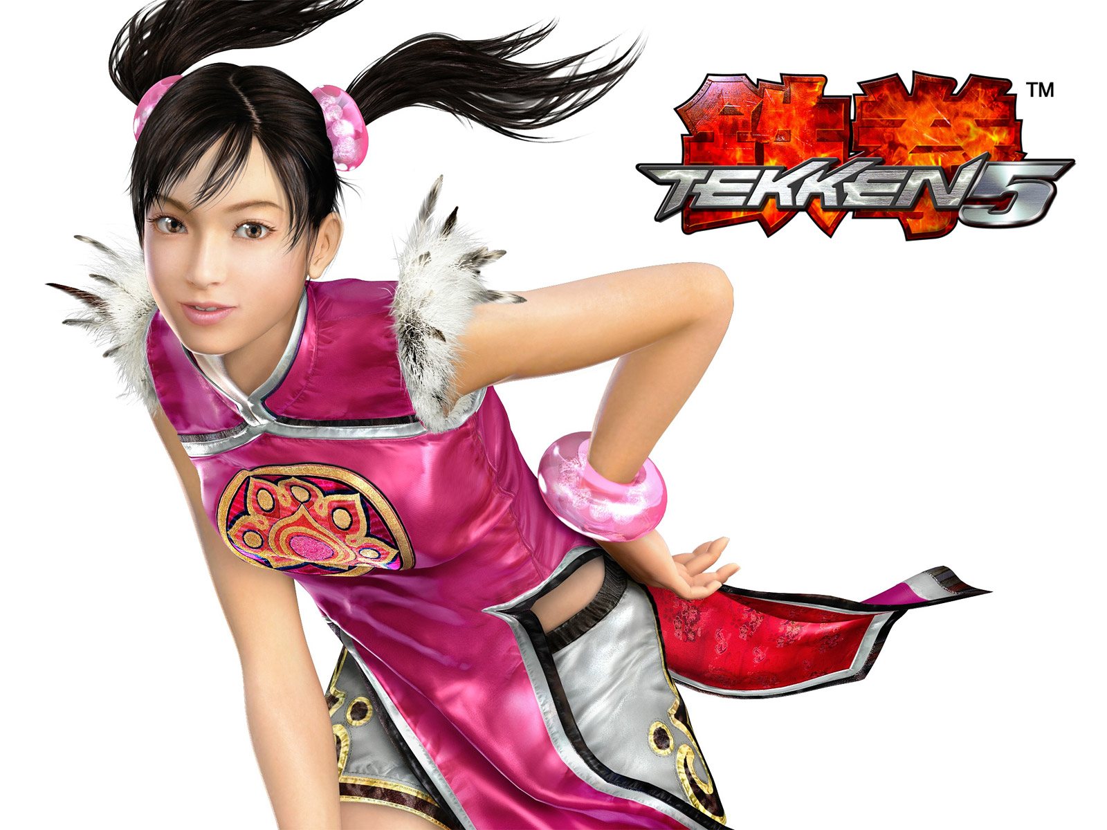 Video Game Tekken 5 HD Wallpaper | Background Image