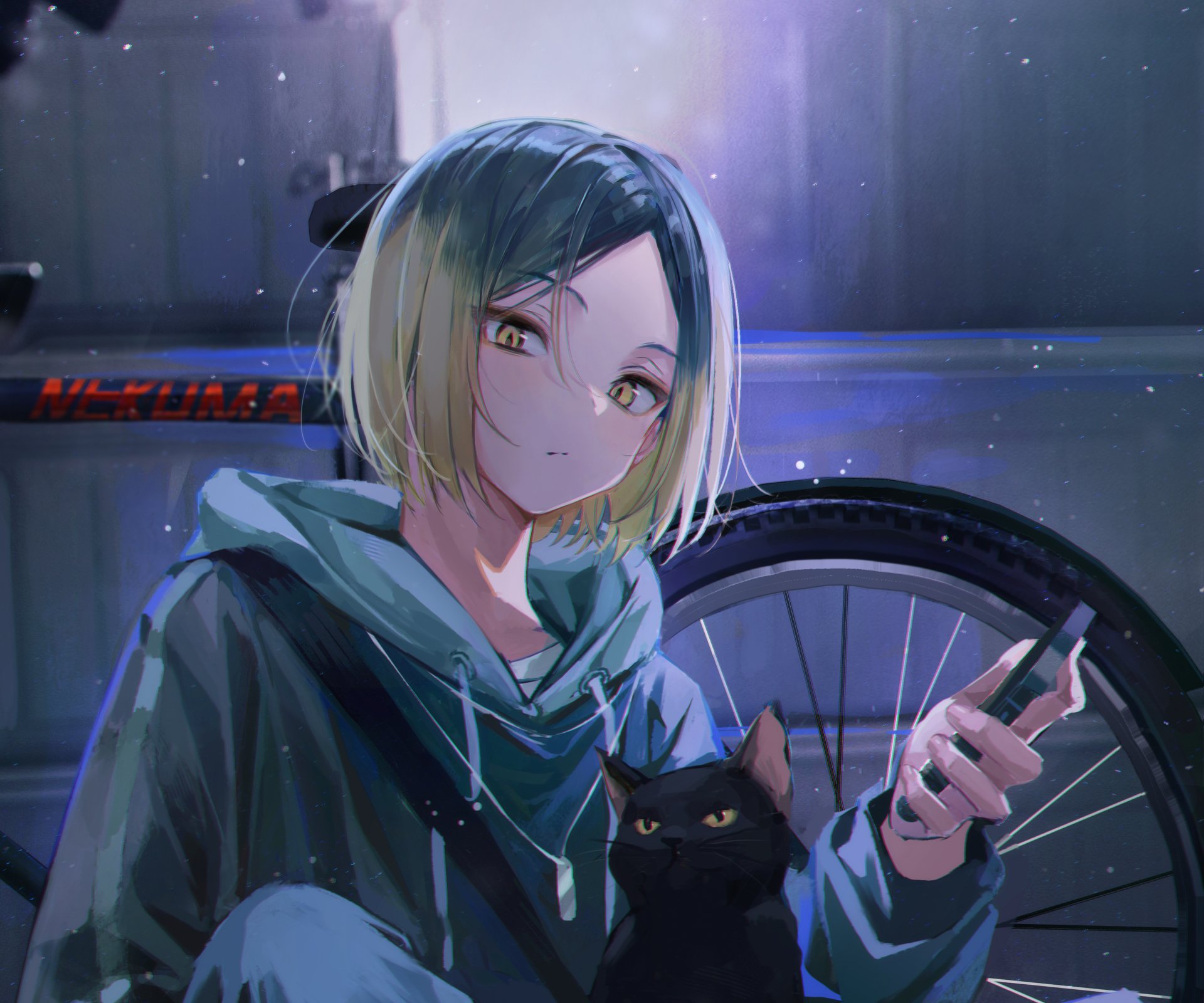 HD PC desktop wallpaper featuring Kenma Kozume from the anime Haikyū!! holding a black cat, set against a dimly lit background with a bicycle wheel.